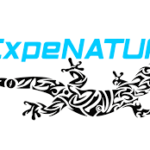 ExpeNature_logo