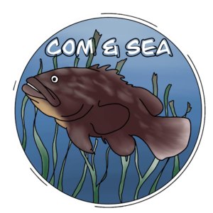 logo COM&Sea