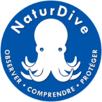 logo_NaturDive_800x800