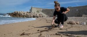 Observatrice sur le littoral