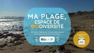 Ma plage, espace de biodiversité