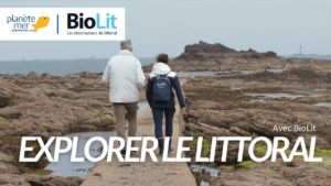 Observateur sur le bord de mer