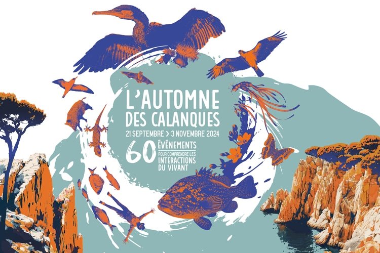 visuel automne des calanques 2024