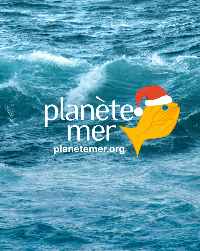 Joyeux noel 2024