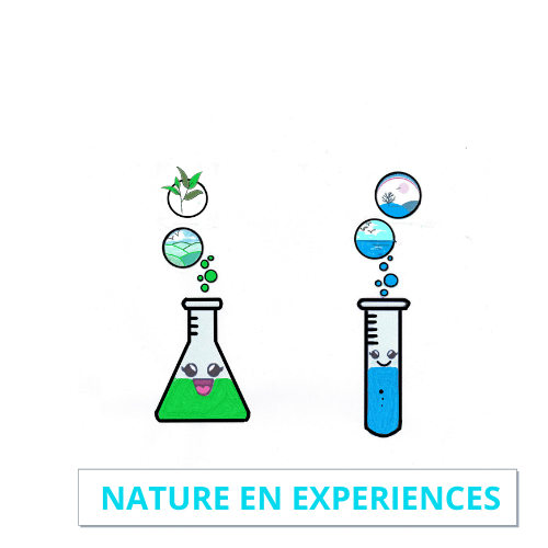 NATURE-EN-EXPERIENCES-LOGO-1