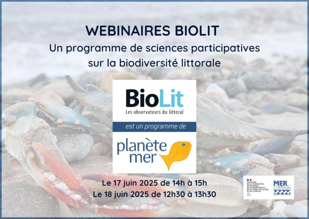 Webinaire NA