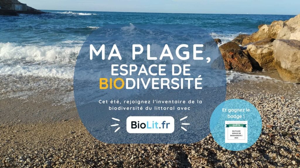 Ma plage 2025