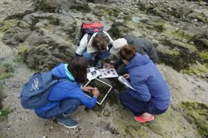 Les équipe de Vigie Nature Ecole et Planète Mer sur l’estran, retrouvailles à Saint-Malo