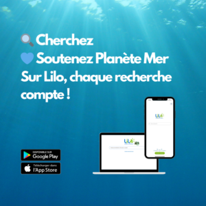 Planète Mer à l’honneur sur Lilo.org !