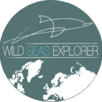 WILDSEASEXPLORER_LOGO_ok