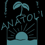 logo_ANATOLI