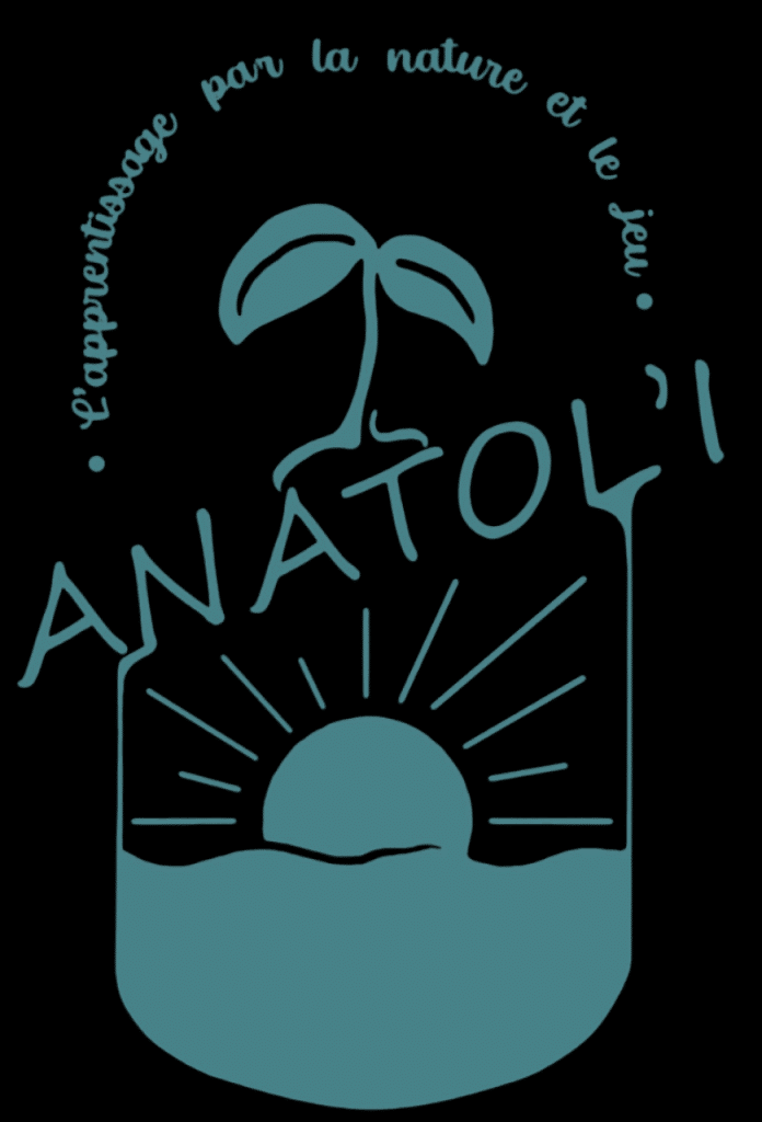 logo_ANATOLI