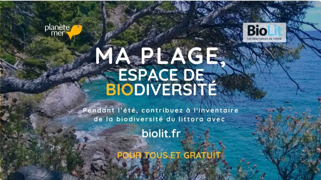 Ma plage