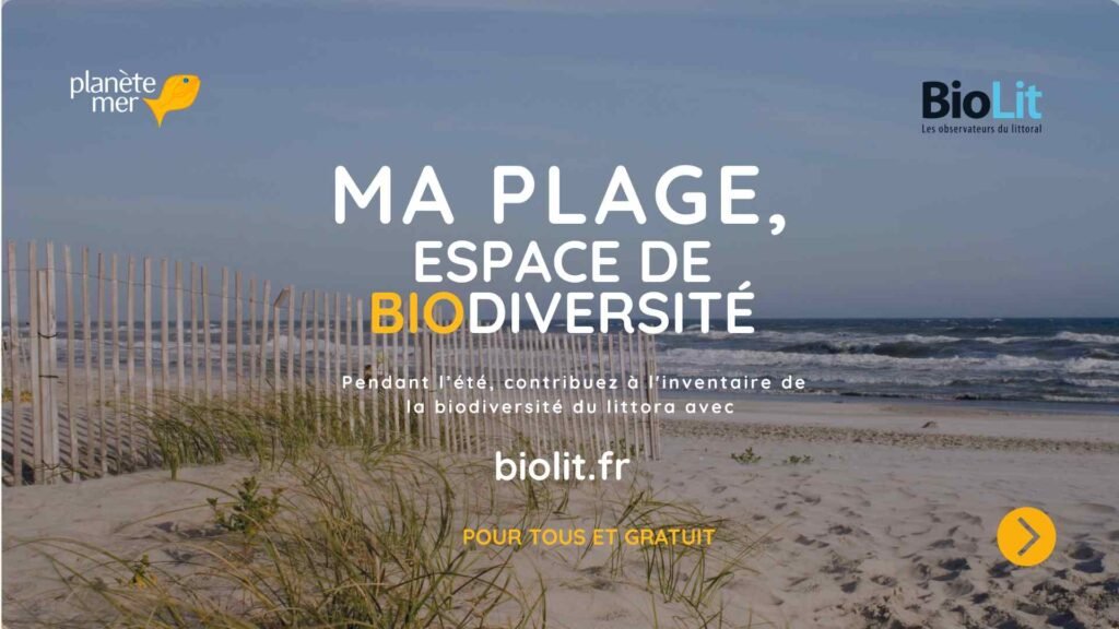 2026_Campagne Ma plage espace de biodiversité