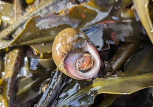 1.3-PXL_20260214_135957581