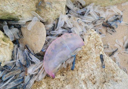 17654640936943311469216214539003