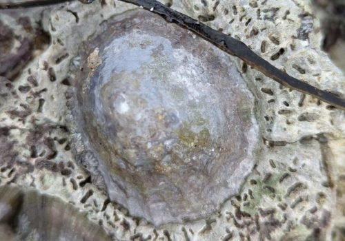 2.2-PXL_20260214_140657974