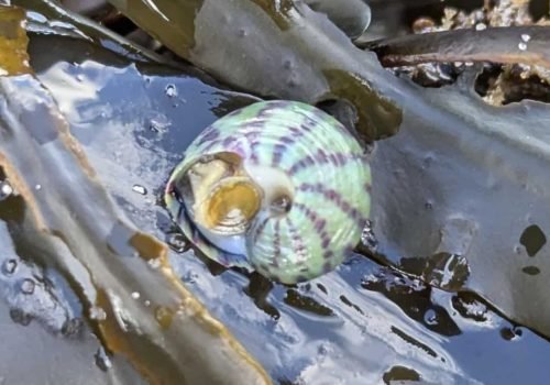 2.3-PXL_20260214_141141761