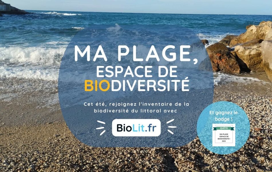 Ma plage 2025