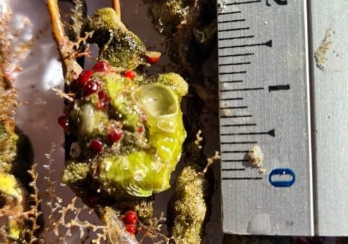 20260126_142633_remastered