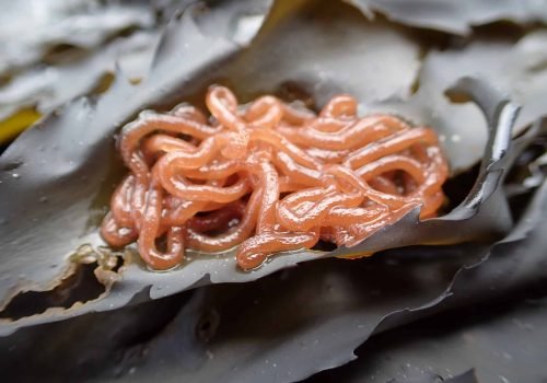 20260416_Formation_Dinard (c)A.Bouet (2)