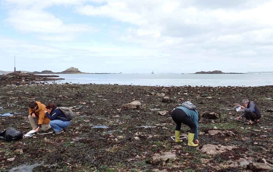 20260416_Formation_Dinard (c)A.Bouet (5_light)