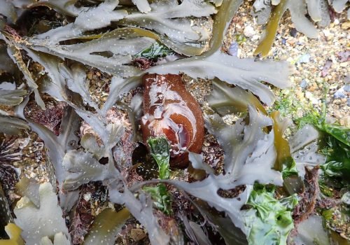 20260416_Formation_Dinard (c)A.Bouet (9)