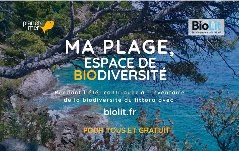 Ma plage
