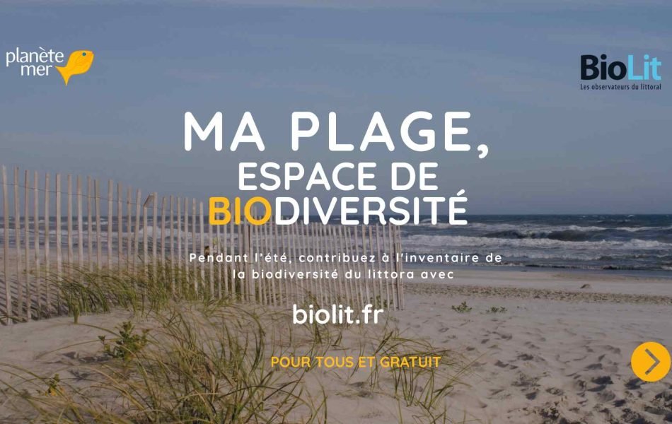 2026_Campagne Ma plage espace de biodiversité