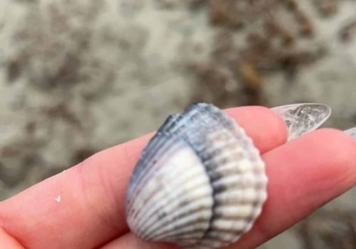 237AC601-0BA7-4F30-A455-B2421161D7E4-1-2