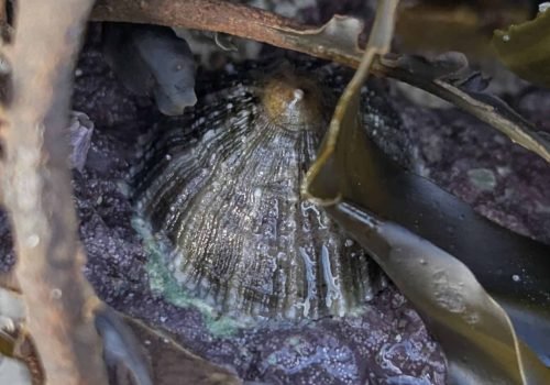 4.2-PXL_20260214_142320645