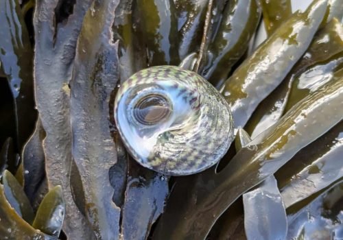 4.3-PXL_20260214_142334757