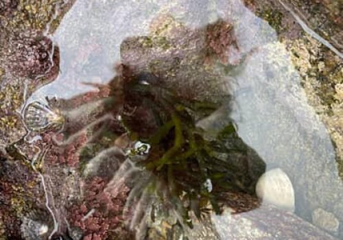 408BB6BB-C5C1-4453-B4DB-F6E1563935B6-1