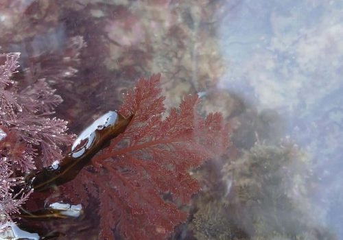 4212095f-61db-4d90-90e9-dc57d8ab894b