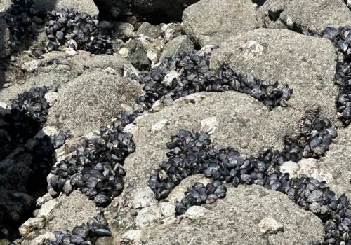 422d6bfb-fb15-430a-9c52-b2a8af187bf3-1