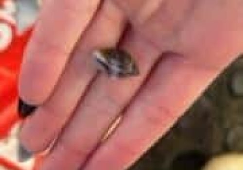 50F7ACC7-1220-4149-BBBA-26286D01DDE6