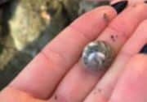 51C8FE37-4E63-4DBE-9D8B-45CBC8184414