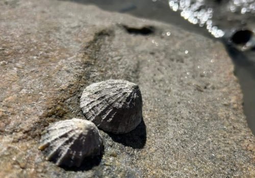 604d2026-3d28-4da8-8cec-3a166c4467ba-1