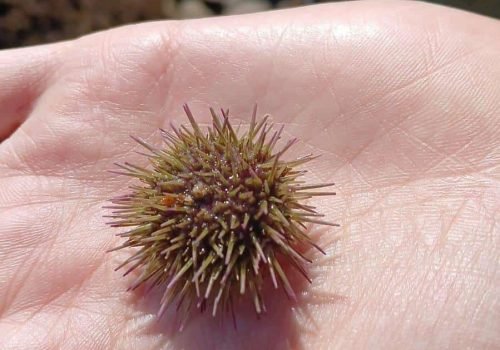 83feec69-043e-465b-a9d3-76d415f0fdfc