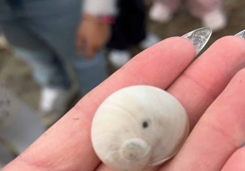 9B007BBD-E94D-4CB6-99BC-F2D1650AE88D