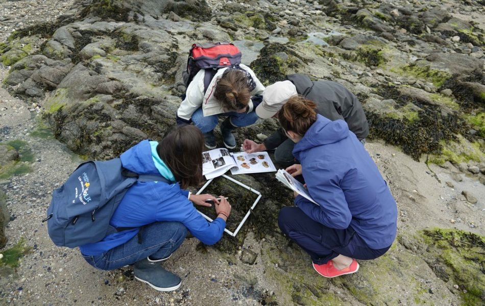 ABB(c)S. Benateau - Vigie Nature Ecole