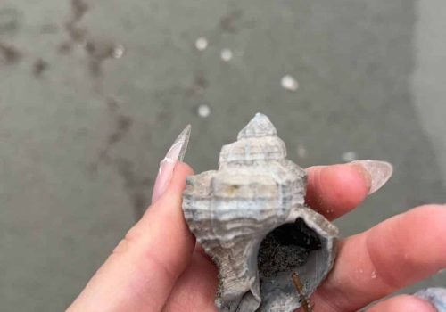 CACF8ABB-F762-427C-86FE-978AA4E79E38