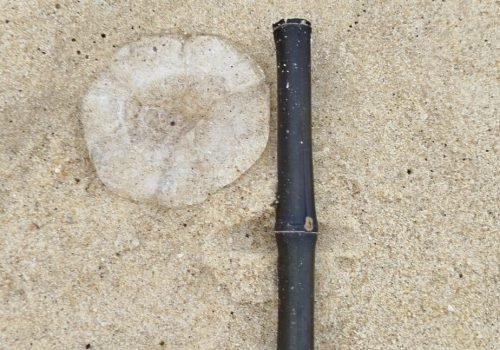 Capbreton-Hossegor_grand-truc_02072025