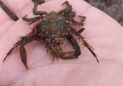 IMG-20260128-WA0007-1