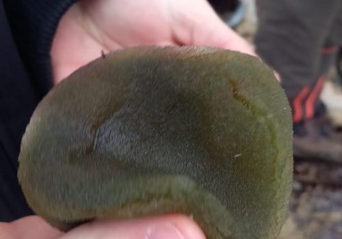 IMG-20260128-WA0008-1