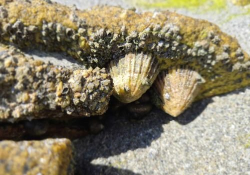 IMG-20260724-WA0042