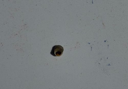 IMG-20260728-WA0013-1