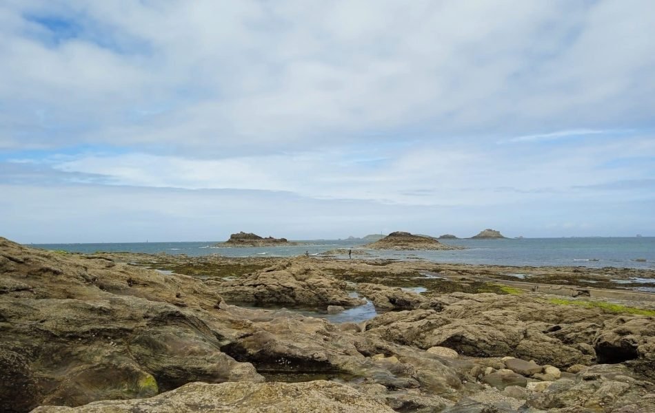 IMG_20230510_144905_1_light