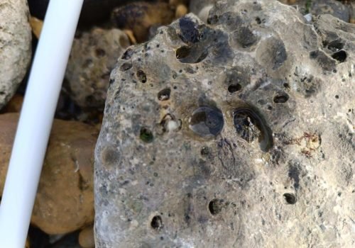 IMG_20260218_113349-1