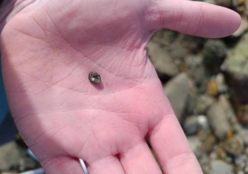 IMG_20260218_113431-1